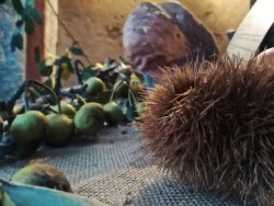 Aritzo castagne e olive